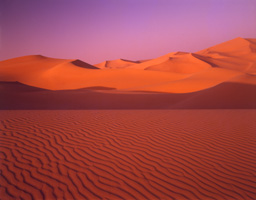 Dunes du sahara