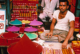 Inde marchand d'épices