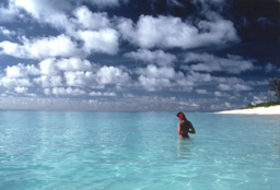 Seychelles - mer turquoise