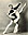 danse americaine