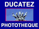 Sigle de la Photothèque Ducatez - Paris