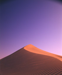 Dune