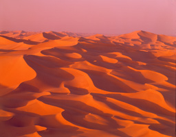 Dune