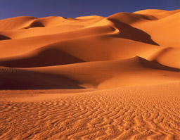 Dunes du Sahara