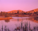 Oasis