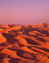 Sahara