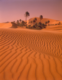 Sahara