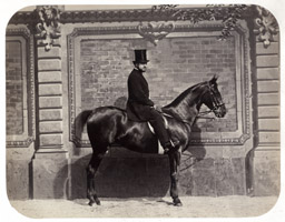 Équitation au XIXe siècle