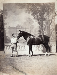 Équitation au xixe siècle