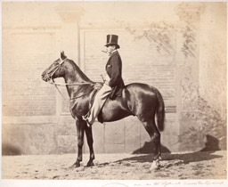 Photographie hippique par J. Delton - M. Lightenvelt ministre des Pays-Bas - portrait équestre c1860