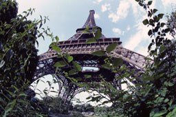 Tour-Eiffel