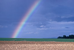 Arc en ciel