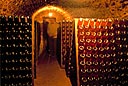 Cave à vin de Champagne par Jean-Pierre Ducatez - Toute utilisation et droit réservés par © Photothèque Ducatez