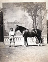 Présentation d'un cheval au XIXe siècle vers 1863