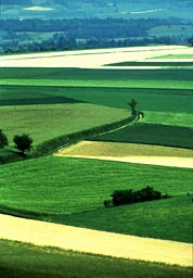 Mosaique de cultures