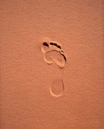 Empreinte dans le sable
